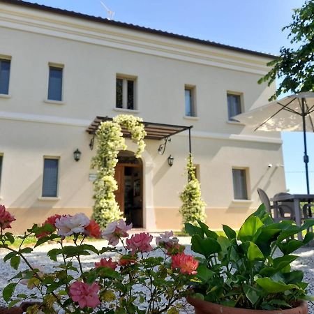 Villa Marietta Country House - Marche Montemaggiore al Metauro Εξωτερικό φωτογραφία