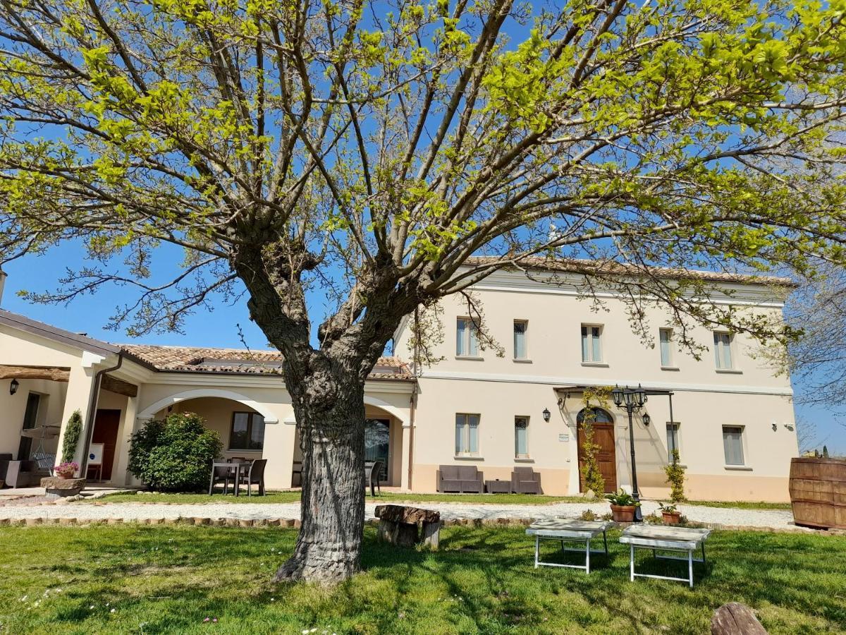 Villa Marietta Country House - Marche Montemaggiore al Metauro Εξωτερικό φωτογραφία